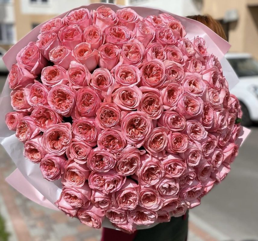 Пионовидная роза Пинк Экспрешн (Pink Expression)